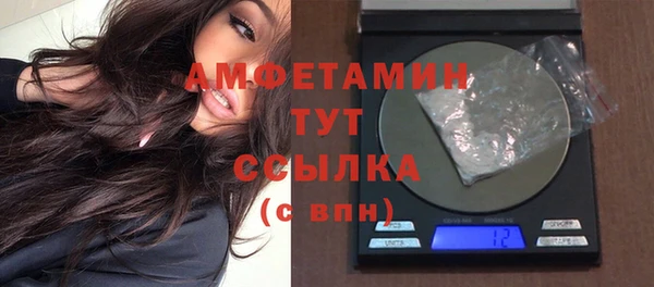 индика Белокуриха