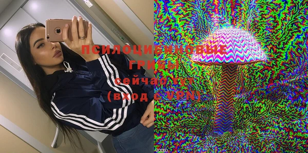 индика Белокуриха