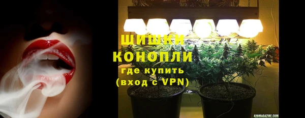 индика Белокуриха