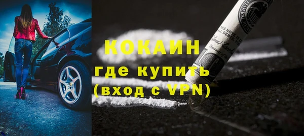 индика Белокуриха