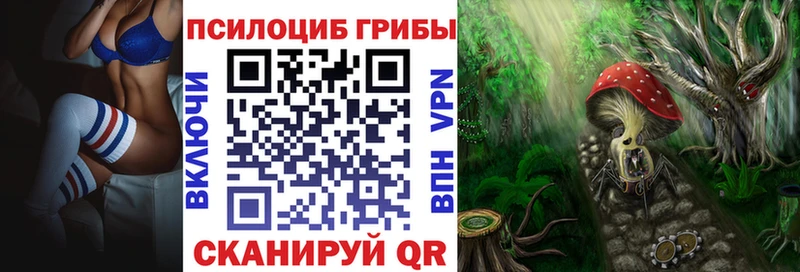 hydra ТОР  Давлеканово  Галлюциногенные грибы Cubensis 
